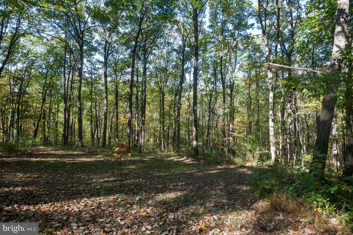 1744 Gablehammer Road Westminster, MD 21157 - Photo 74 of 79