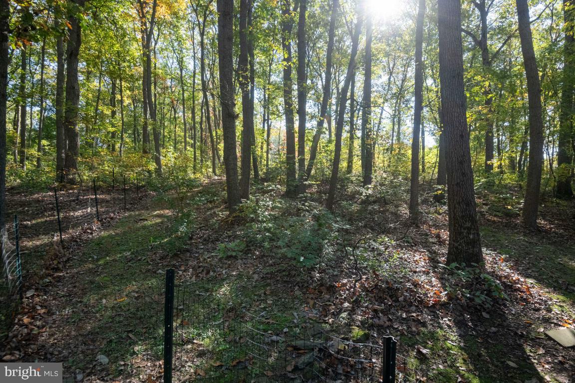 1744 Gablehammer Road Westminster, MD 21157 - Photo 75 of 79