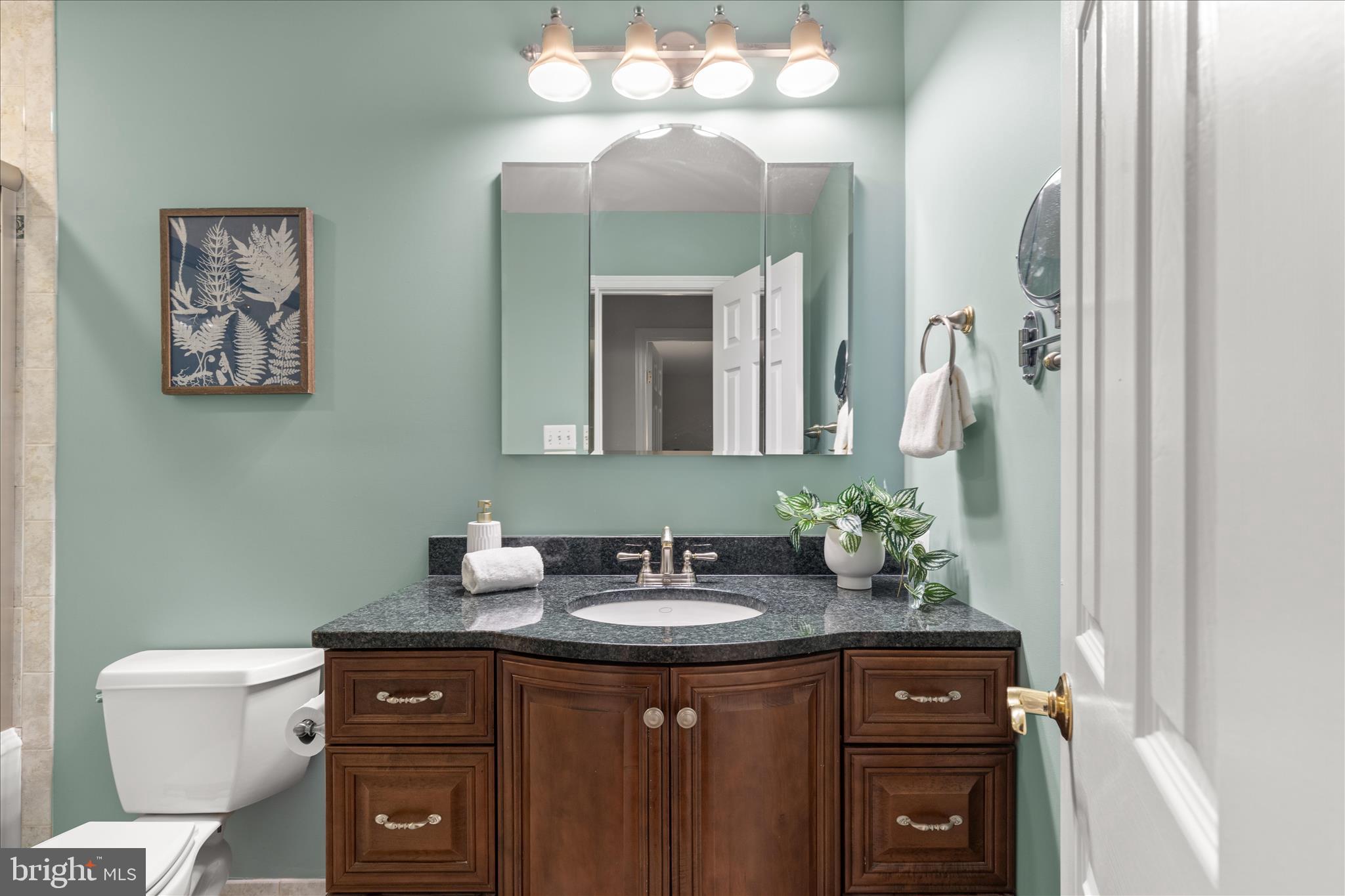 10205 Old Hunt Road Vienna, VA 22181 - Photo 43 of 67 a bathroom with a sink and a mirror