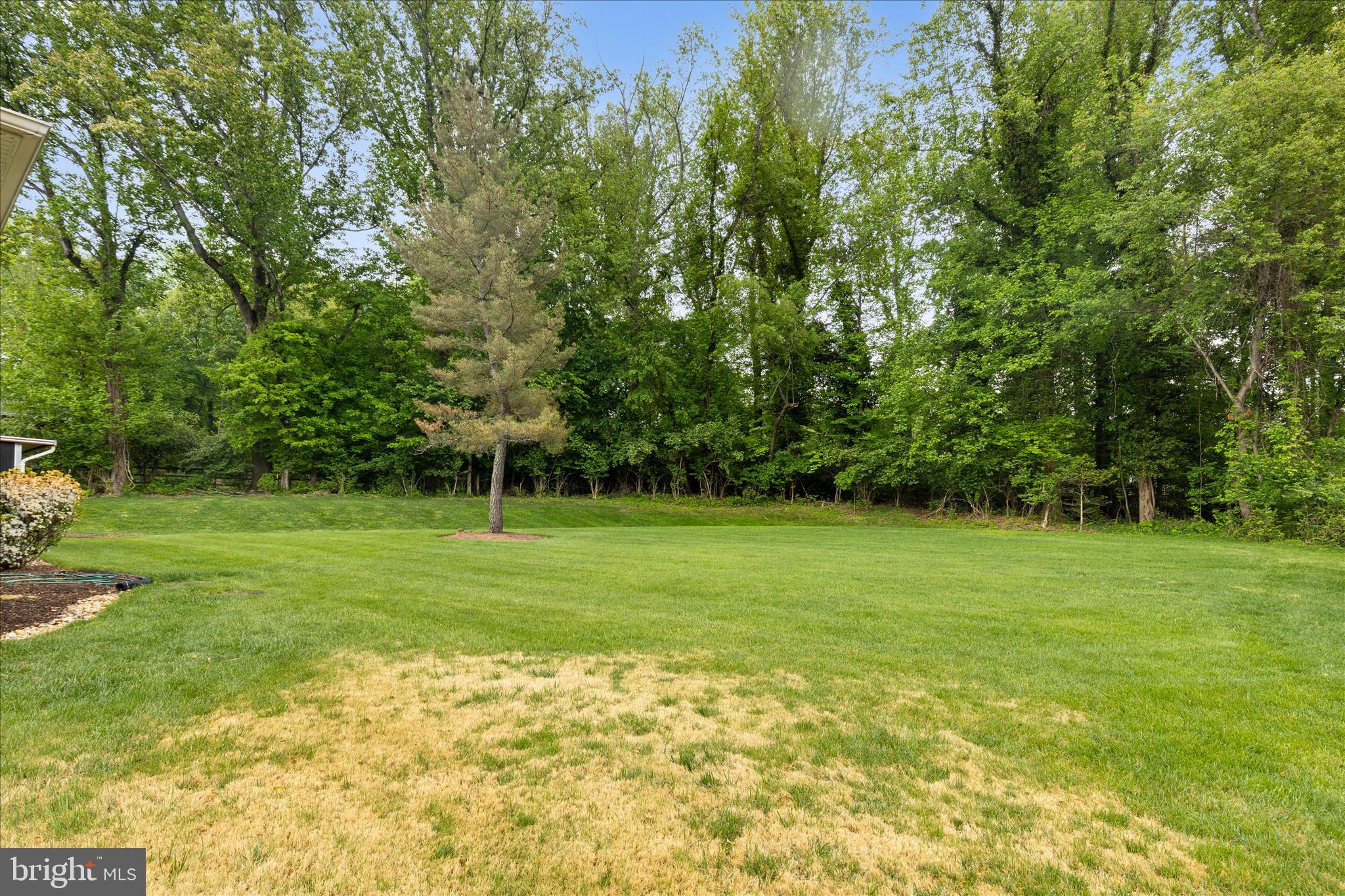 10205 Old Hunt Road Vienna, VA 22181 - Photo 57 of 67 a view of a grassy field with trees