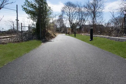 a view of a park with tree s