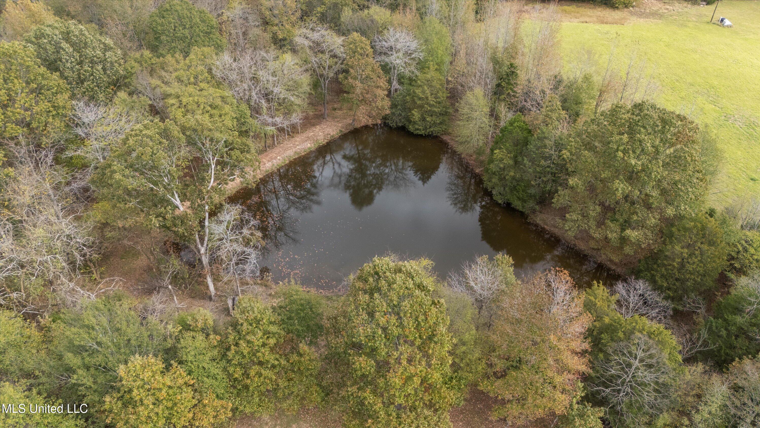 47 Fulmer Road Como, MS 38619 - Photo 55 of 61 53-DJI_20241104122345_0026_D