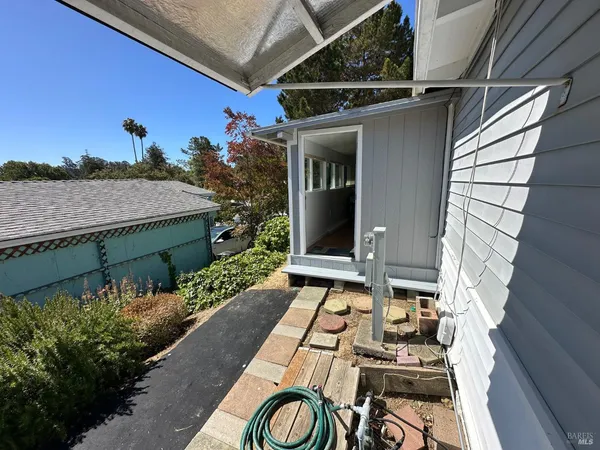 a view of a yard with plants