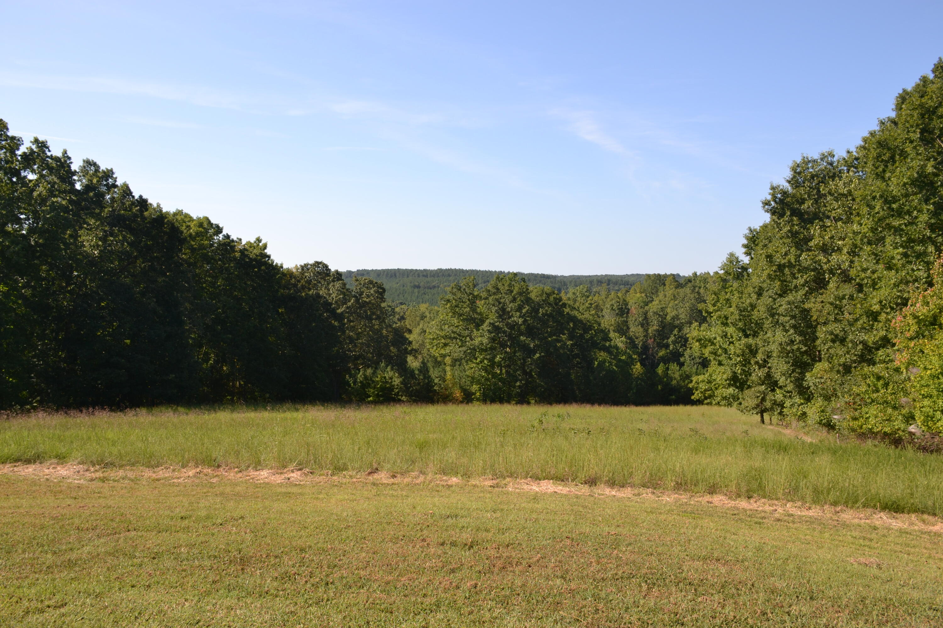 1145 Sugar Barbour Road Axton, VA 24054 - Photo 106 of 121 DSC_0059