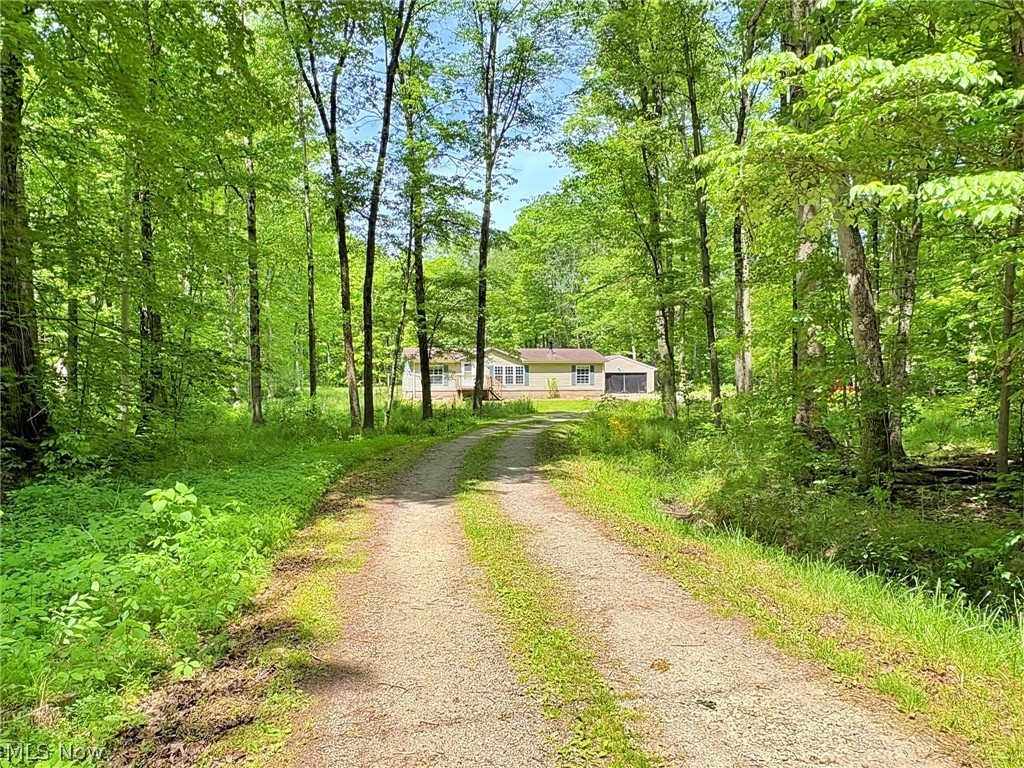 4233 County Line Road Lake Milton, OH 44429 - Photo 5 of 38