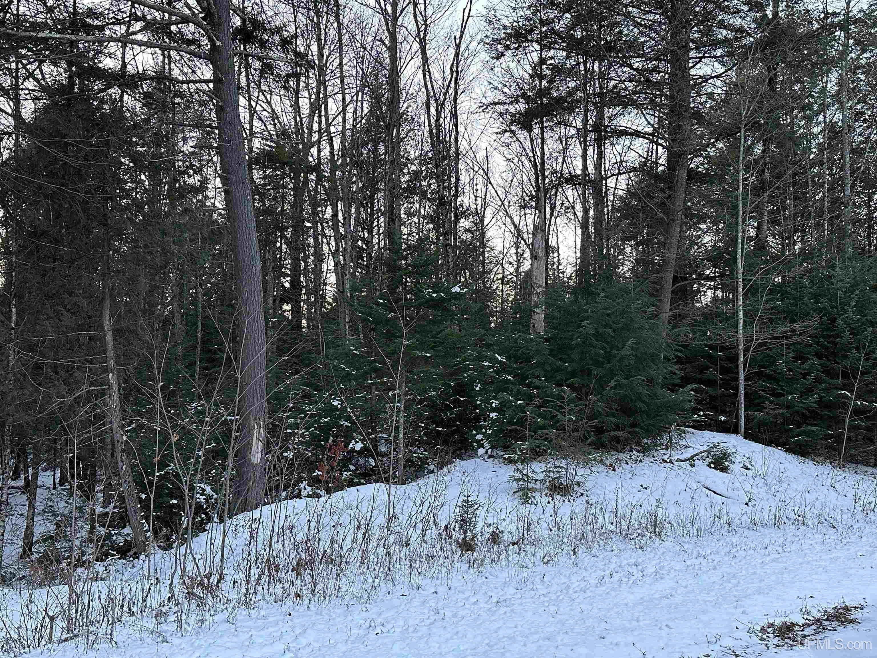 Lot 49 Hewitt Lane Mercer, WI 54547 - Photo 20 of 28 Gallery Image 20