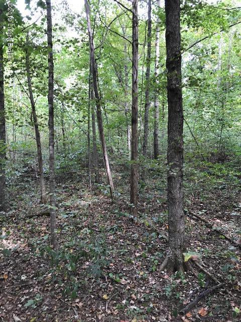 823 Buckys Road Webster, KY 40176 - Photo 6 of 16 Photo Sep 26, 1 24 09 PM
