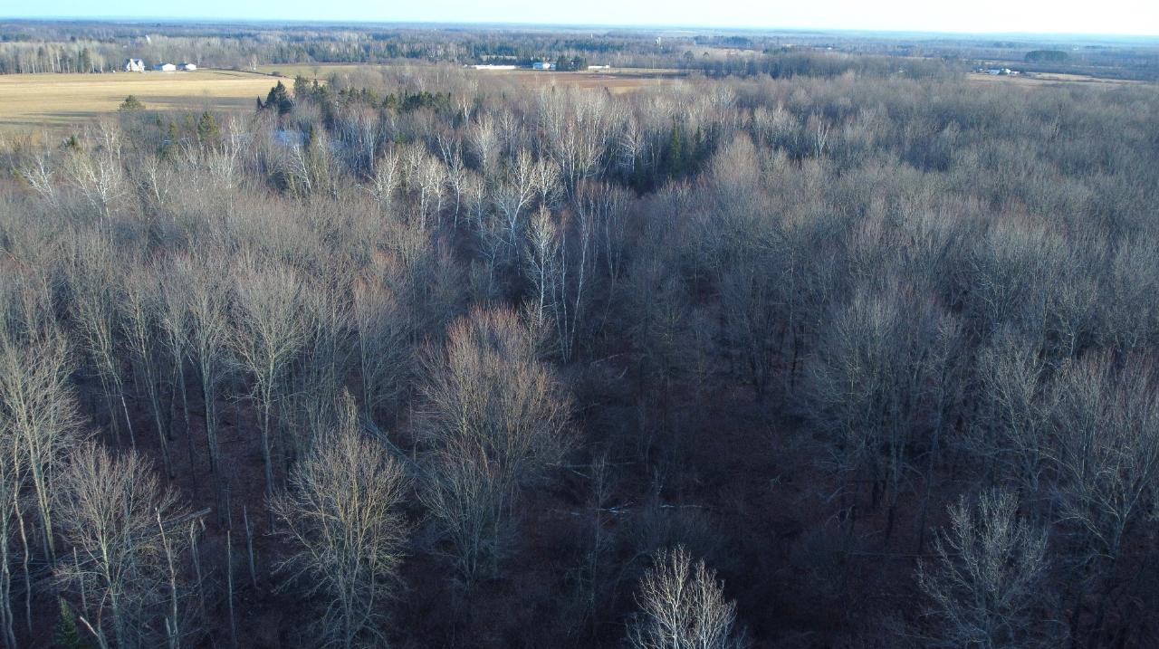 N3806 Walnut Road Kennan, WI 54537 - Photo 16 of 39 Gallery Image 16