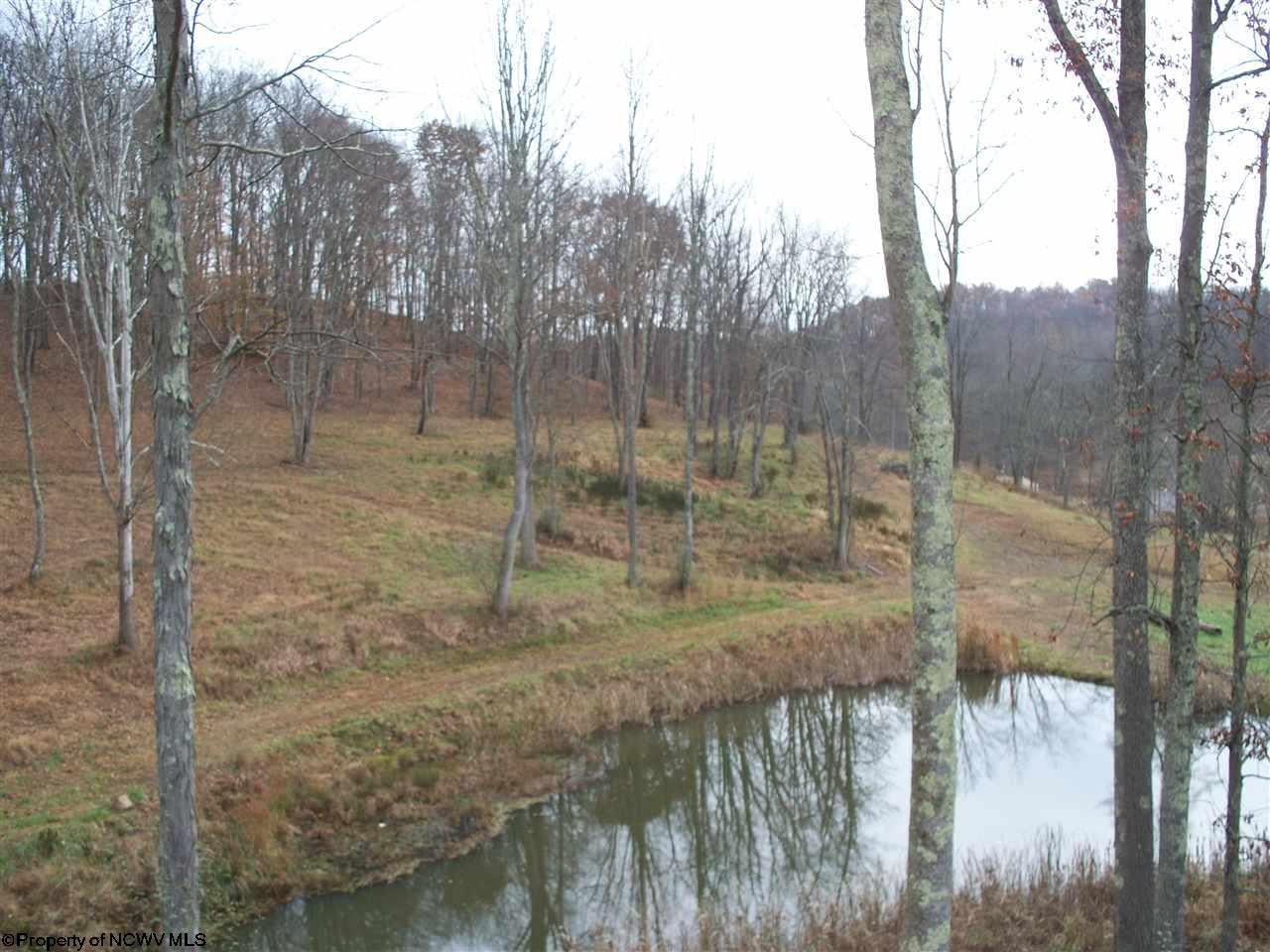 753 Falls Run Road Mount Clare, WV 26408 - Photo 19 of 20 Gallery Image 19