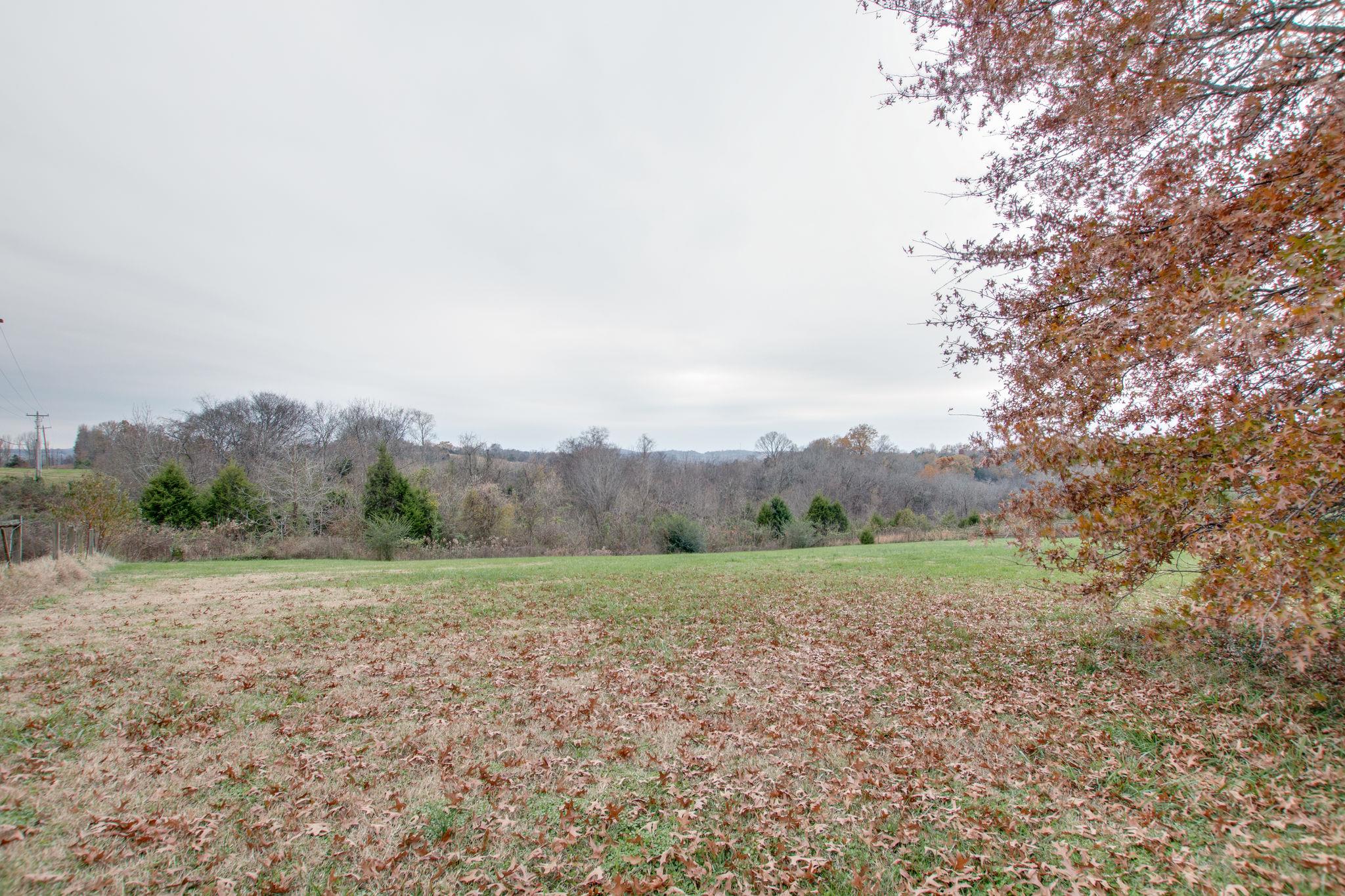 3240 Beasleys Bend Road Lebanon, TN 37087 - Photo 24 of 25 a view of a field with trees in background