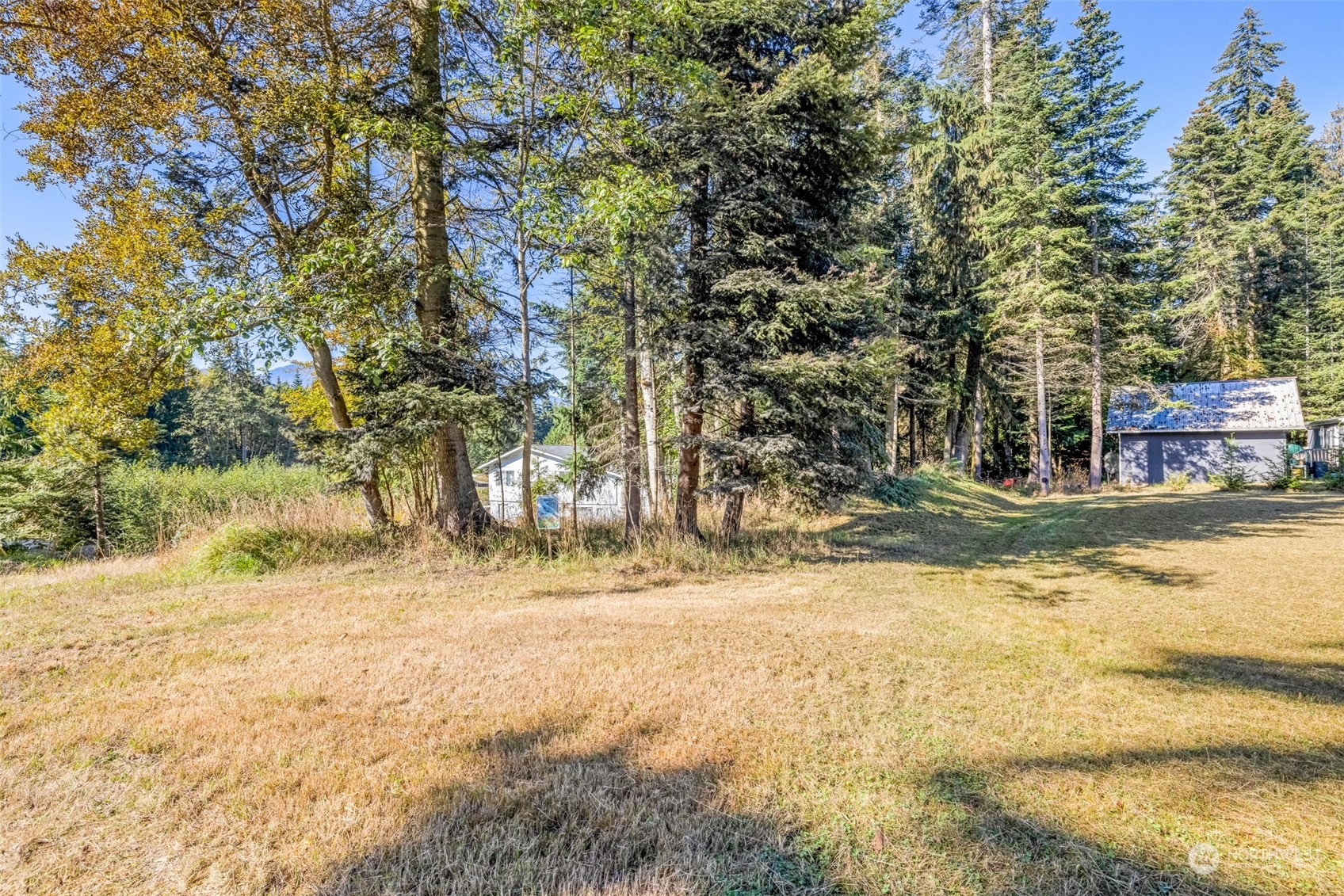 20 Willes Way Port Angeles, WA 98362 - Photo 29 of 34 a view of a yard with a tree