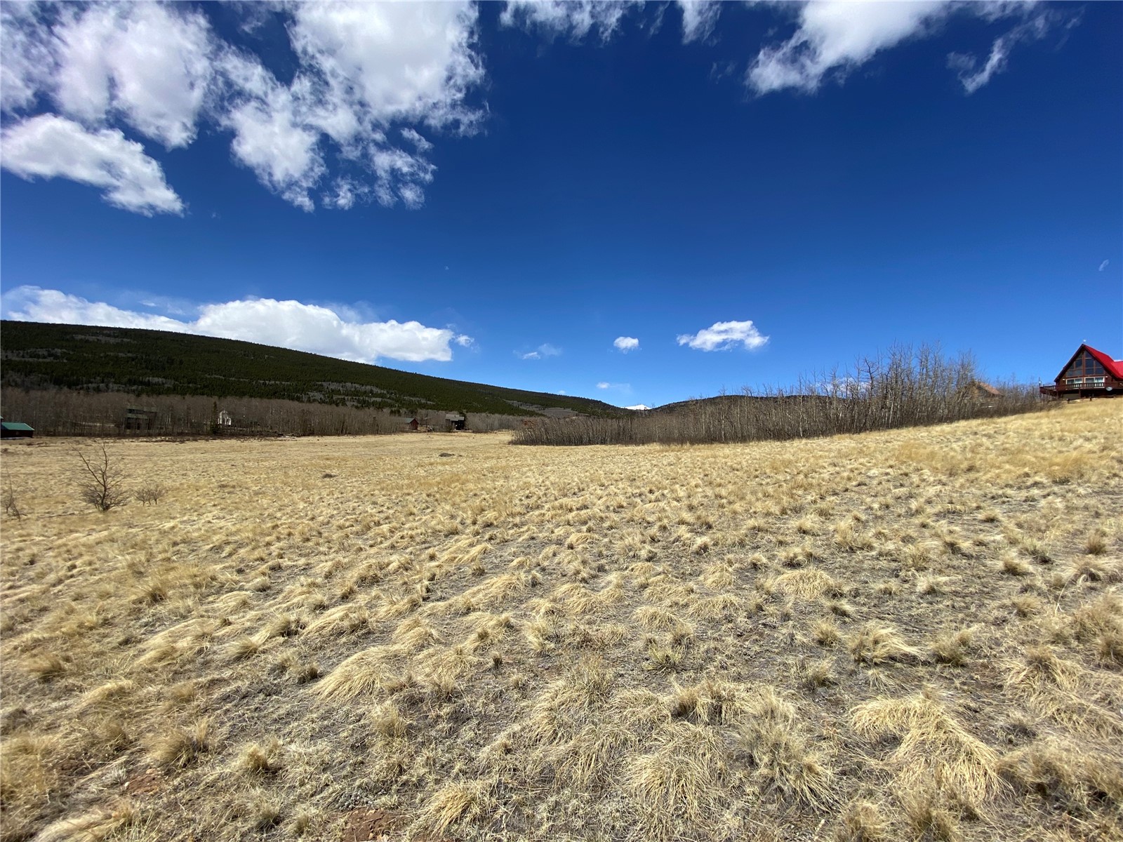 290 Sheep Ridge Road Fairplay, CO 80440 - Photo 26 of 40 Gallery Image 26