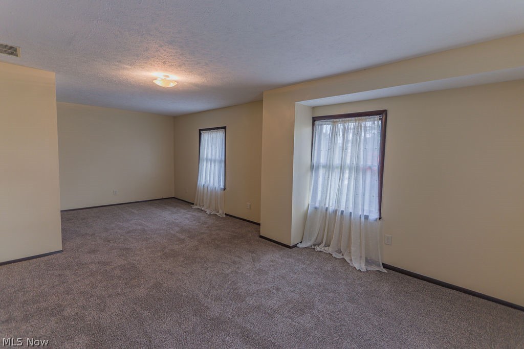 51883 Telegraph Road Amherst, OH 44001 - Photo 14 of 49 Spare room featuring a textured ceiling, light colored carpet, and a healthy amount of sunlight