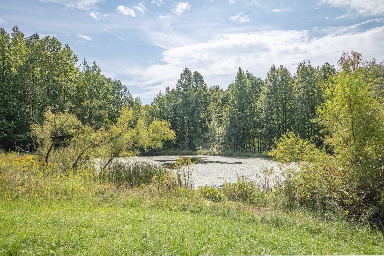 156 Tracy Road Hohenwald, TN 38462 - Photo 29 of 35 Gallery Image 29