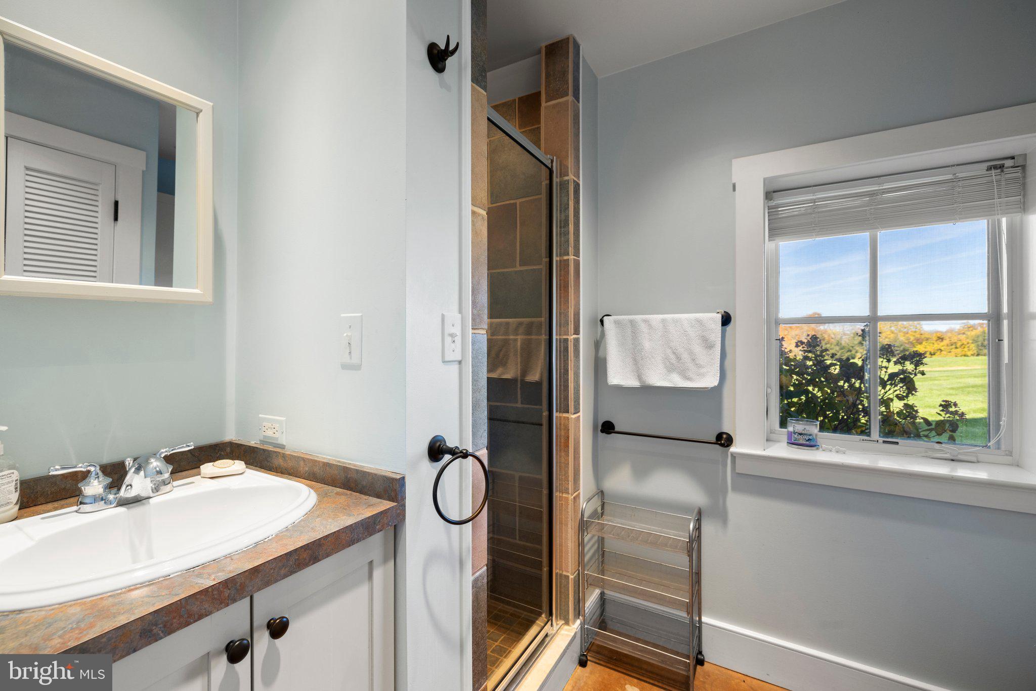 1077 Ginns Road Boyce, VA 22620 - Photo 115 of 140 a bathroom with a sink and a mirror