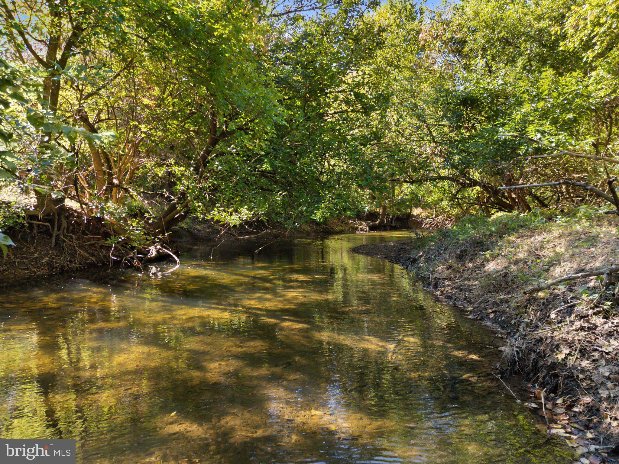 1077 Ginns Road Boyce, VA 22620 - Photo 131 of 140 Opequon divides Clarke Co. from Frederick Co.