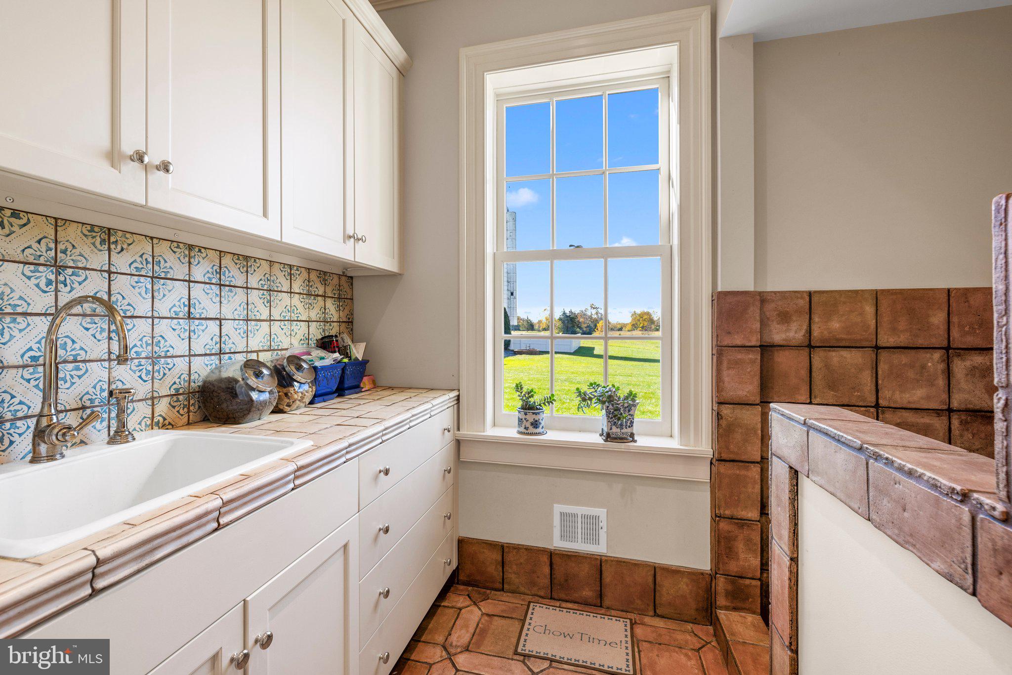 1077 Ginns Road Boyce, VA 22620 - Photo 50 of 140 Laundry room with dog bath.