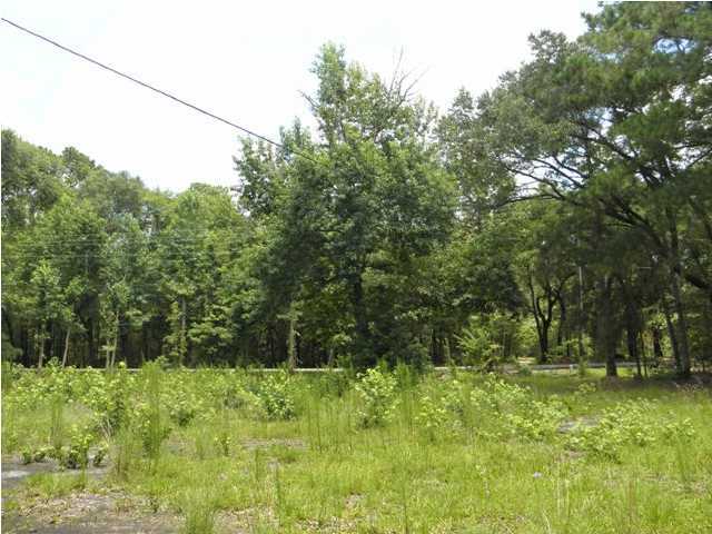 1868 River Road Johns Island, SC 29455 - Photo 4 of 4 Additional Photo