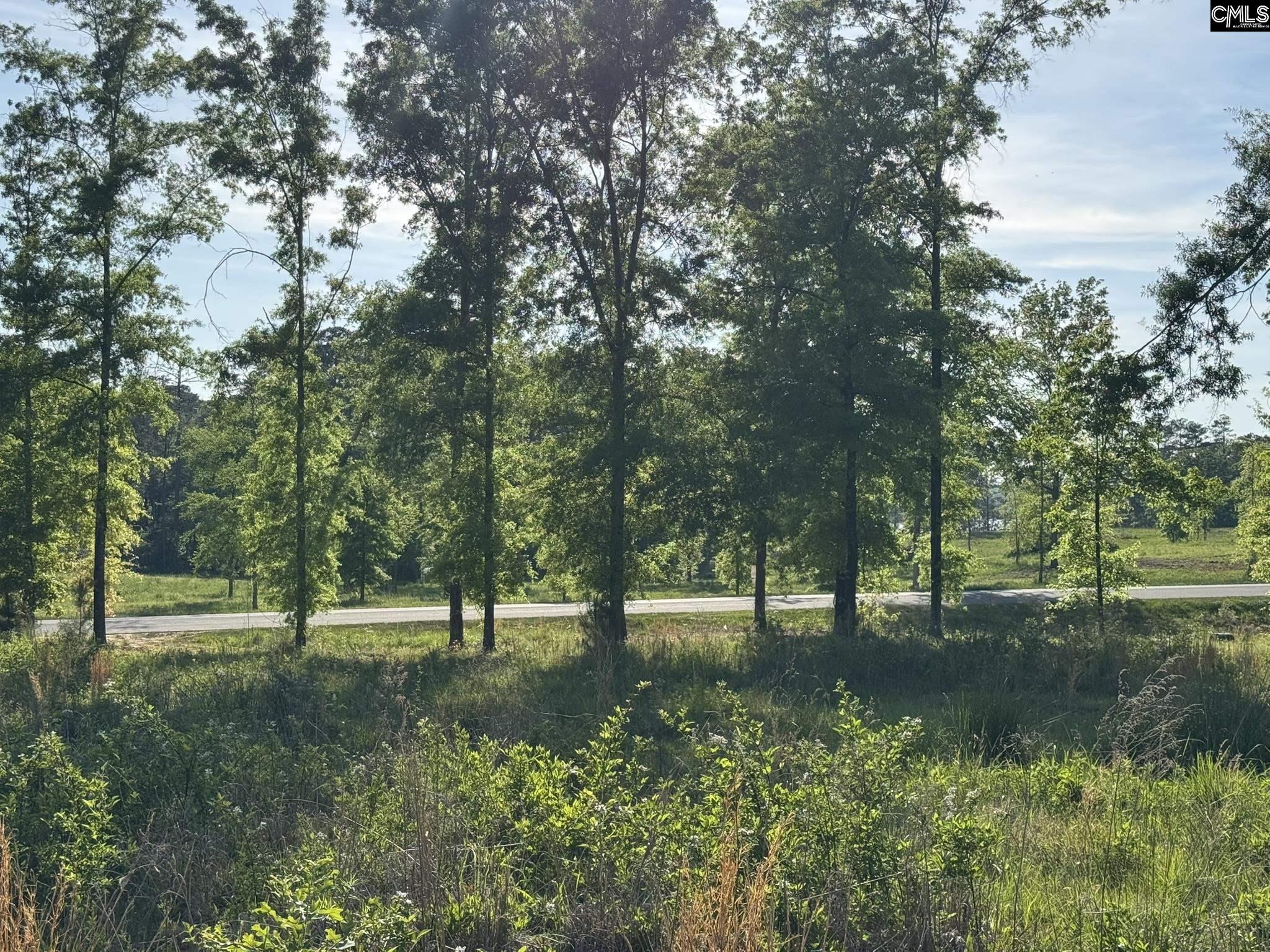 238 Navigator Trail Prosperity, SC 29127 - Photo 13 of 22