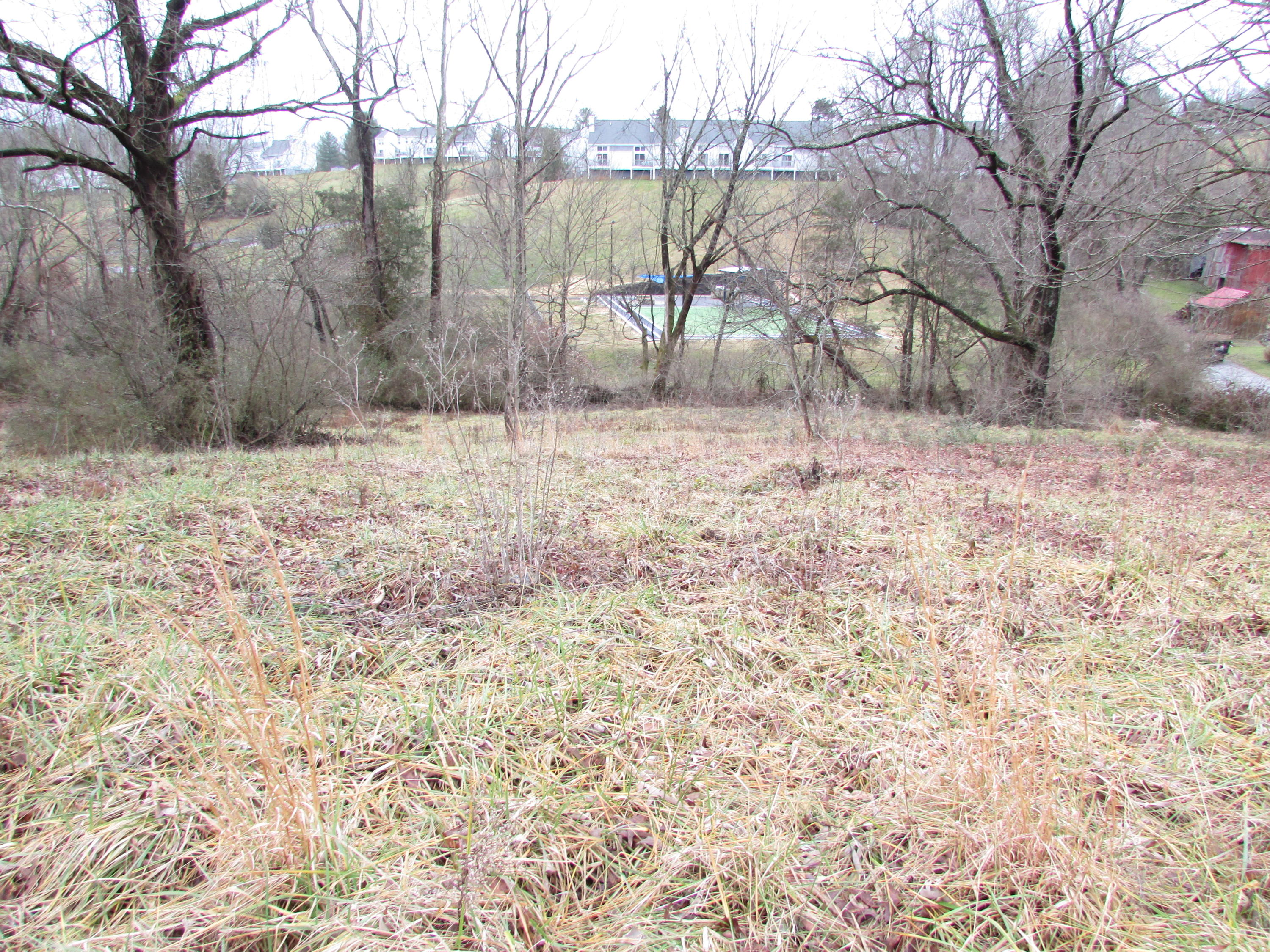 157 Cedar Grove Road Johnson City, TN 37601 - Photo 4 of 7 IMG_2149