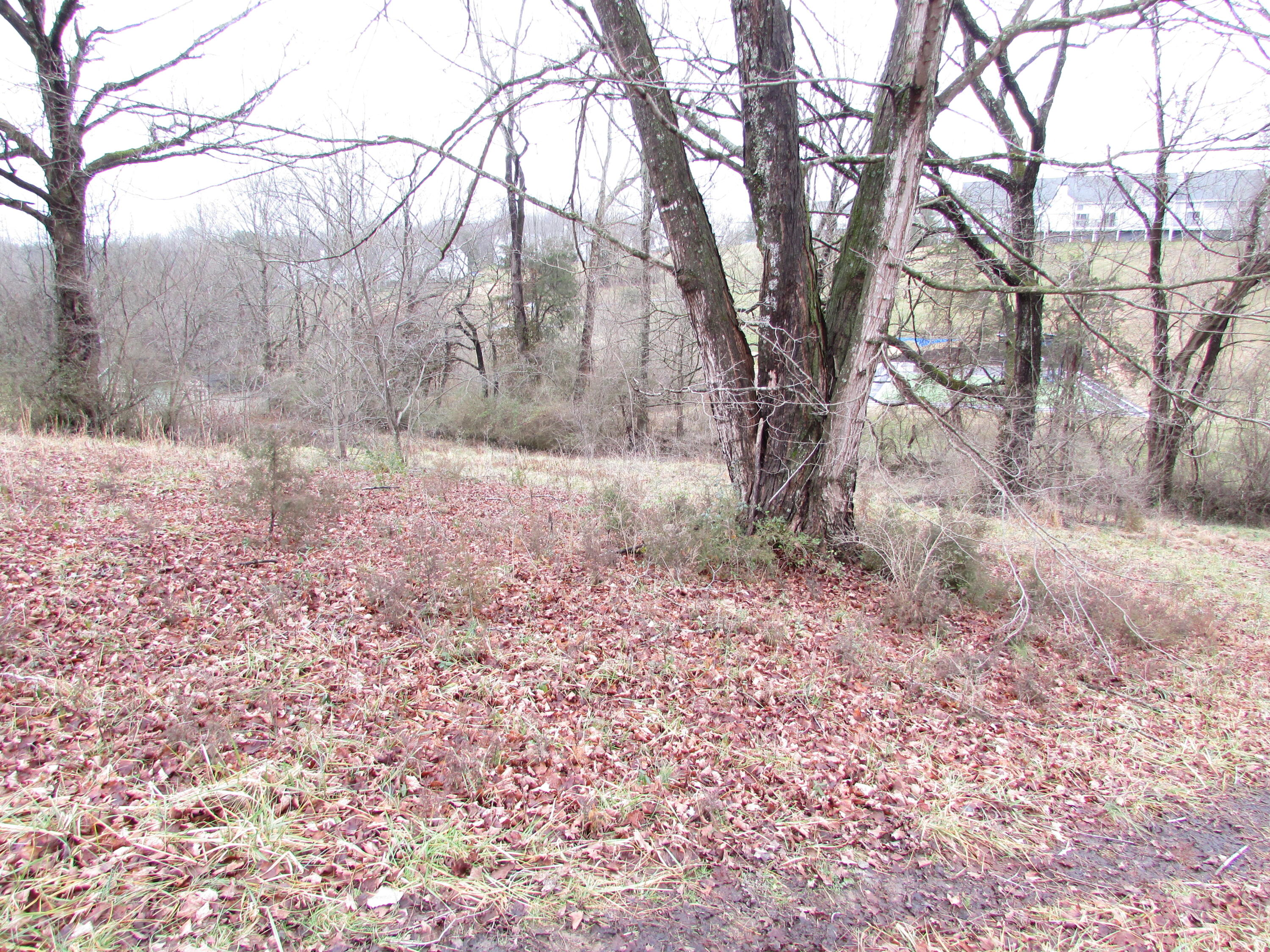 157 Cedar Grove Road Johnson City, TN 37601 - Photo 5 of 7 IMG_2152