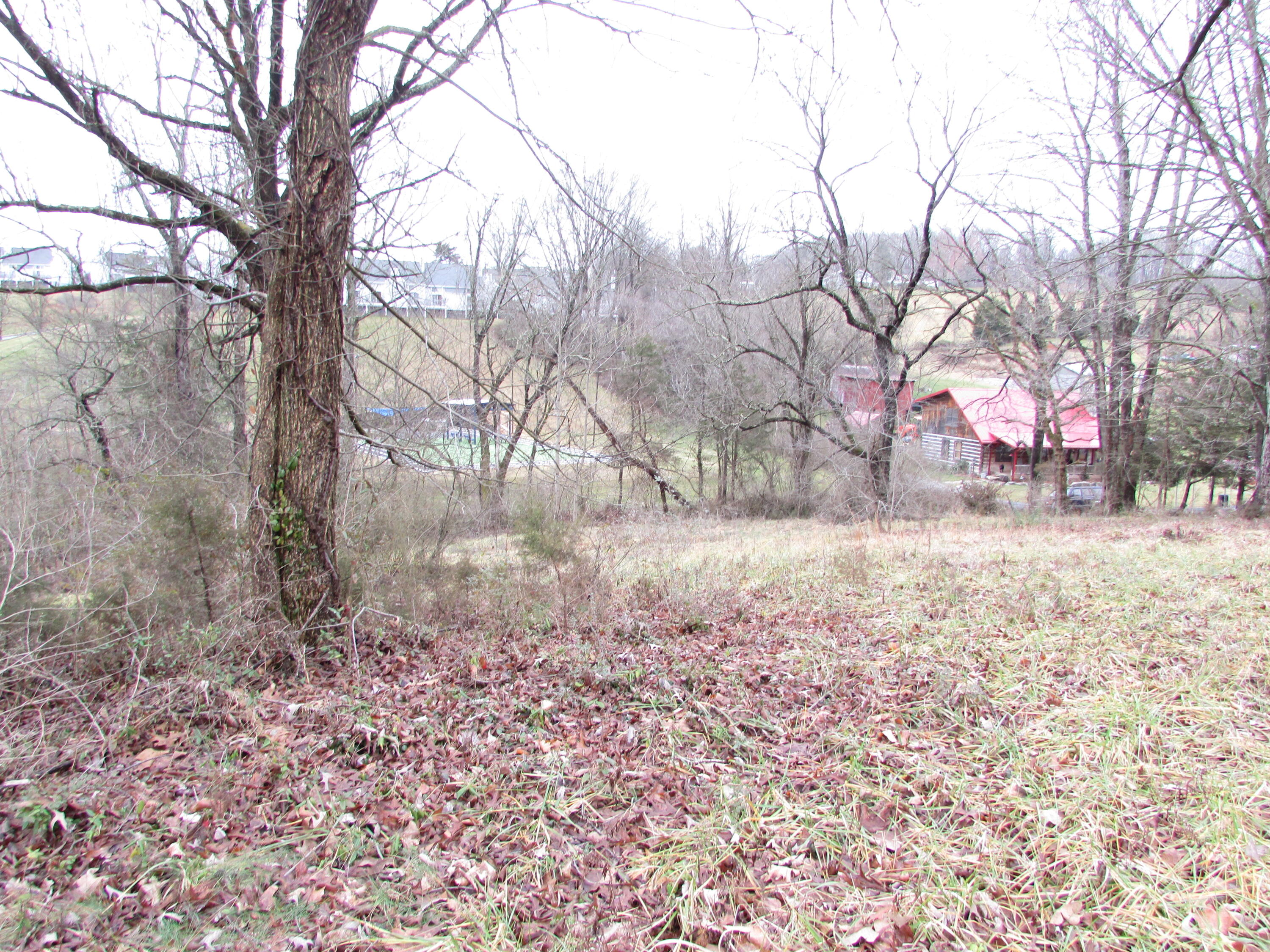 157 Cedar Grove Road Johnson City, TN 37601 - Photo 7 of 7 IMG_2155