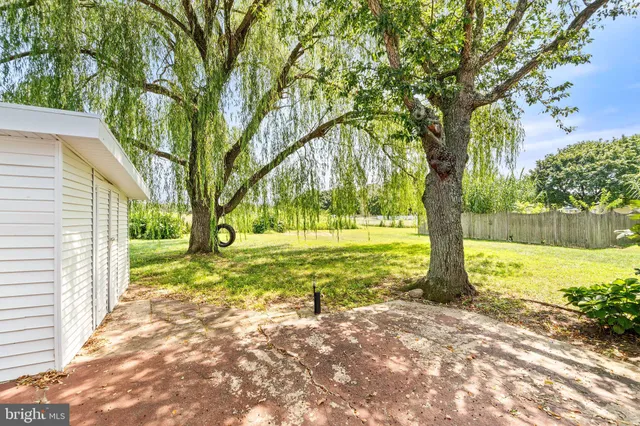 a view of a yard with an trees