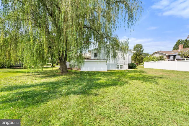 a view of yard with green space