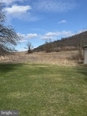 a view of a yard with a tree