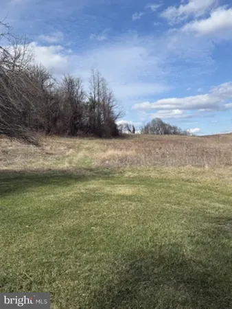 a view of a field with an trees