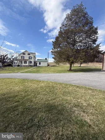 a view of a big yard with a large trees