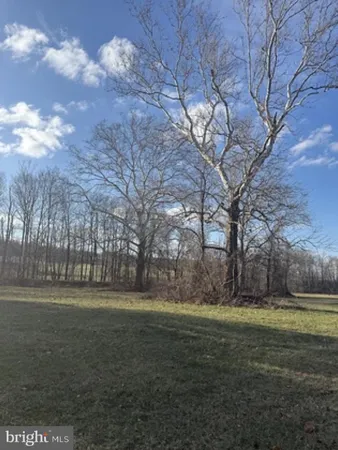 a view of large yard with green space