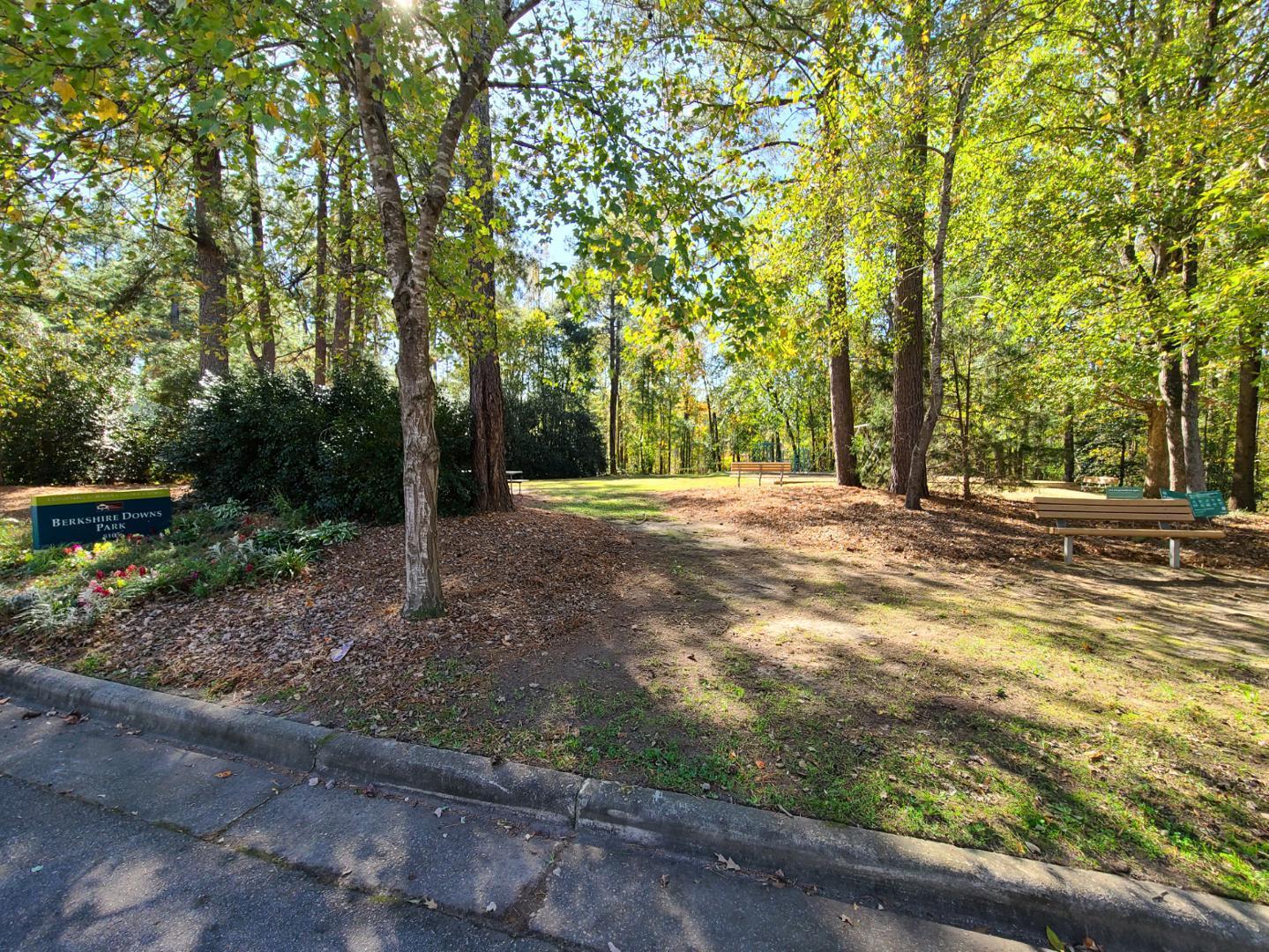 8122 McGuire Drive Raleigh, NC 27616 - Photo 11 of 12 a backyard of a house with lots of green space