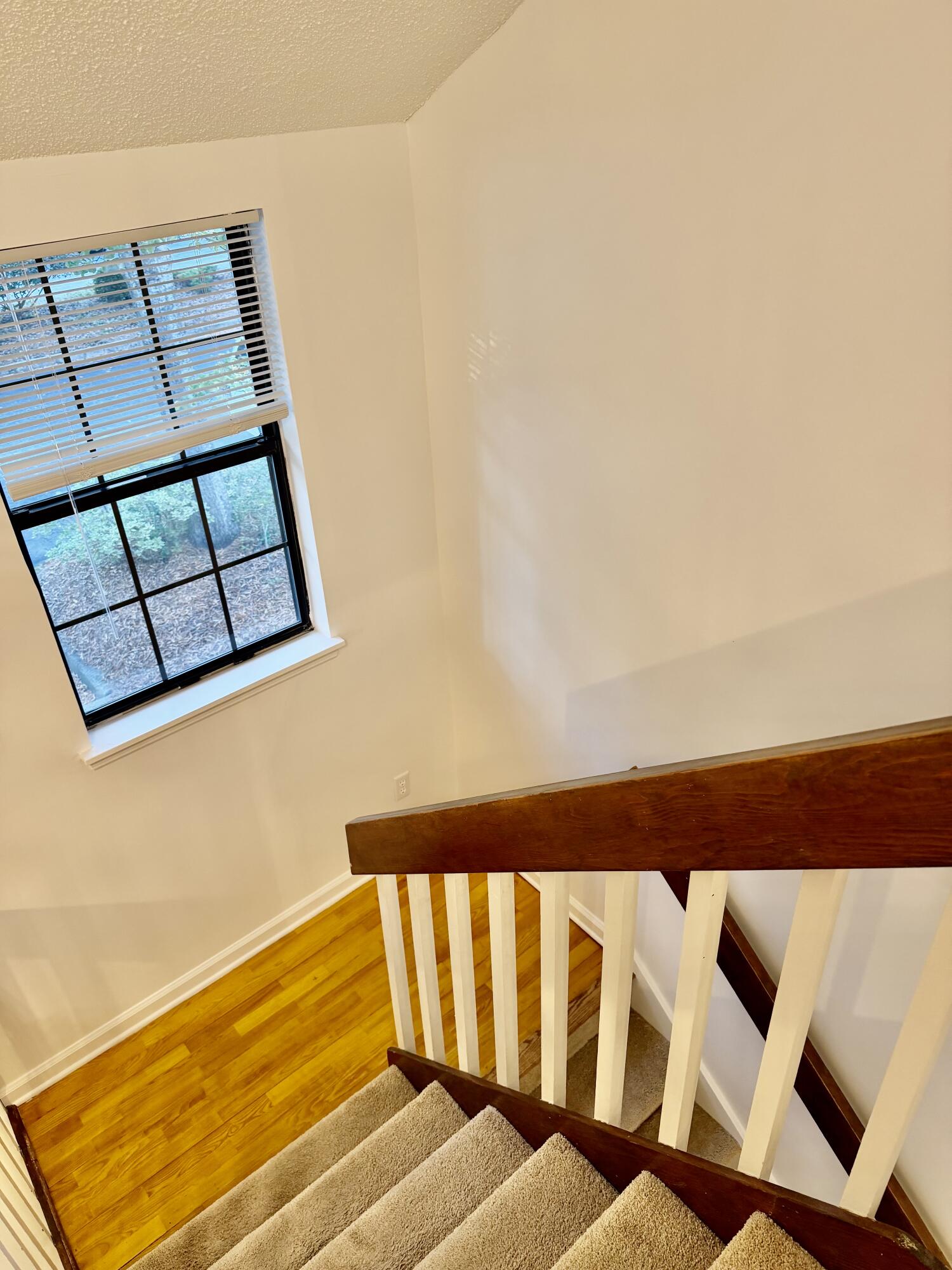 76 Indigo Lane Goose Creek, SC 29445 - Photo 8 of 19 IMG_2568