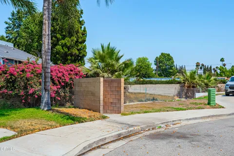 a view of a backyard with plants