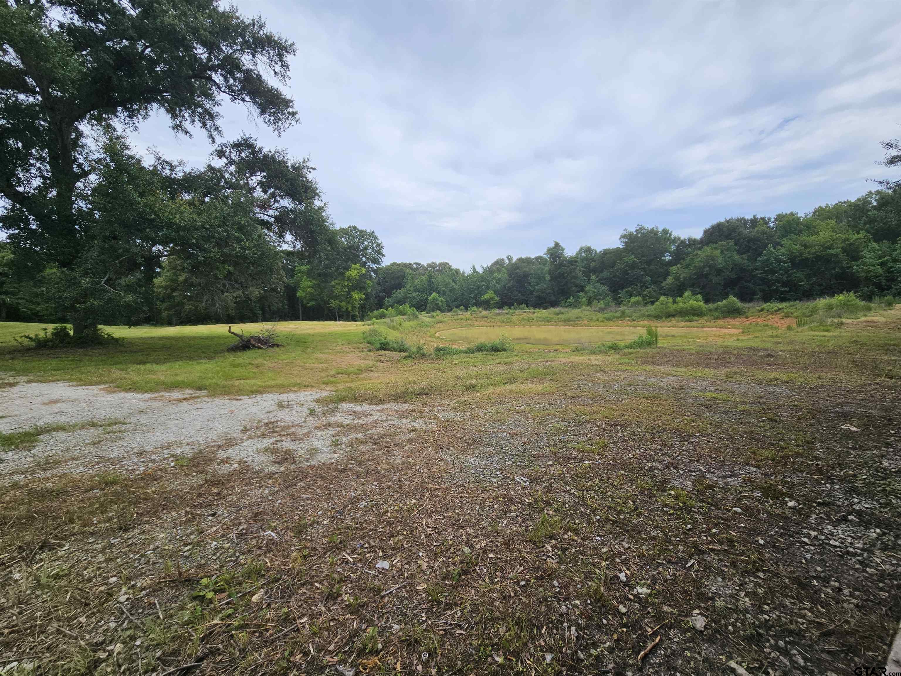 4644 Giraffe Road Gilmer, TX 75644 - Photo 13 of 20