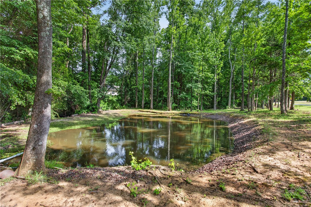 145 State Rd S-4-935 Pendleton, SC 29670 - Photo 31 of 47 A tranquil pond awaits, surrounded by mature trees, offering a private natural retreat.
