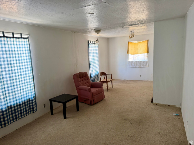 255 E Centre Spring City, UT 84662 - Photo 14 of 31 Spacious interior room featuring light-colored carpet flooring and white walls