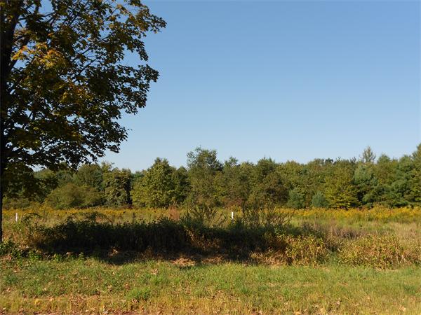 Lot 2-2 Gilbert Road Southampton, MA 01073 - Photo 1 of 2 Gallery Image 1