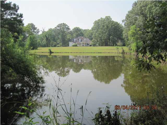 Back View from Pond