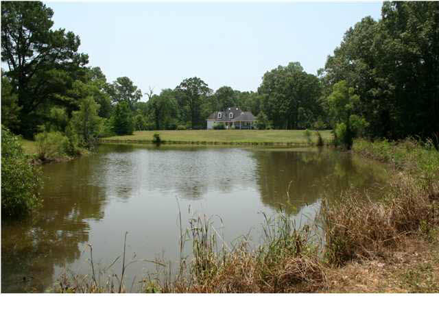 3280 McFarland Road Raymond, MS 39154 - Photo 21 of 22 Water View