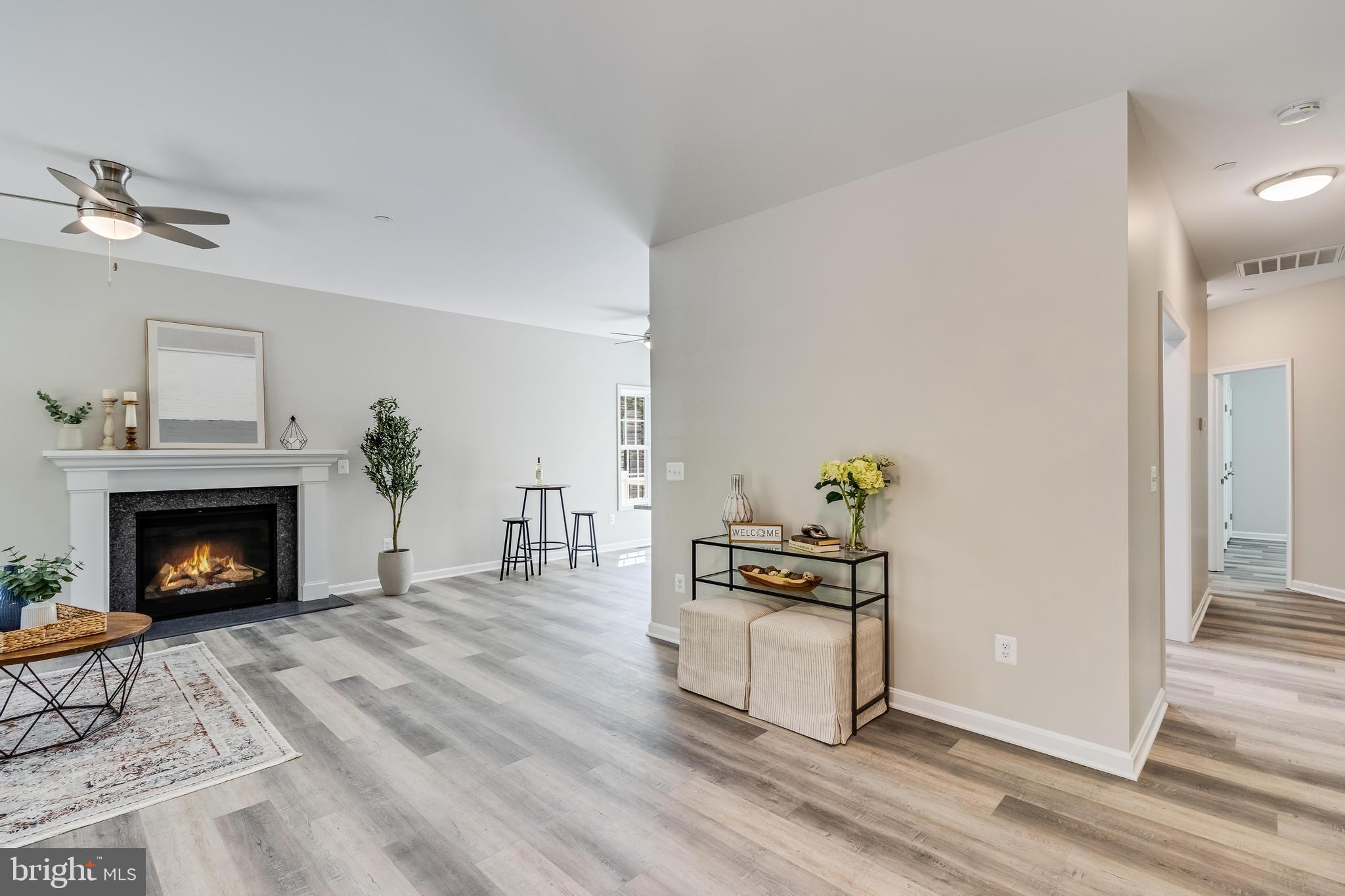 21183 Abell Road Avenue, MD 20609 - Photo 25 of 36 a living room with furniture and a fireplace