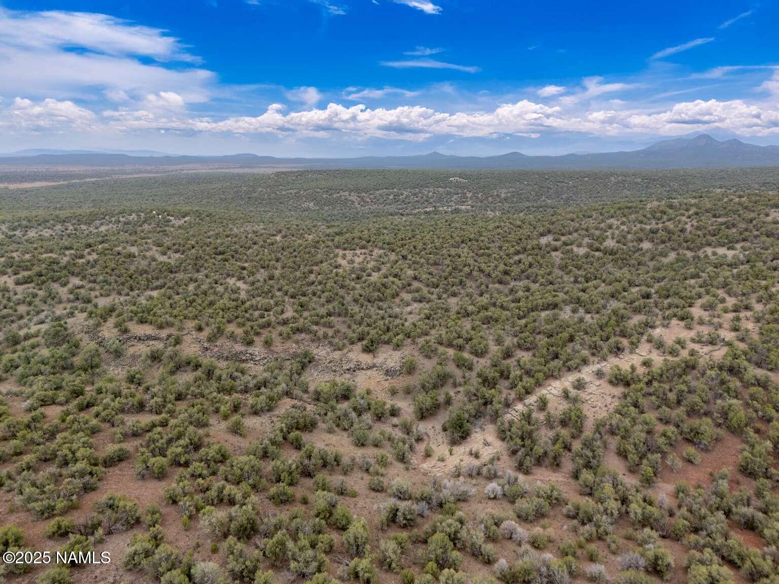 145 Valhalla Williams, AZ 86046 - Photo 13 of 30 Aulakh.12