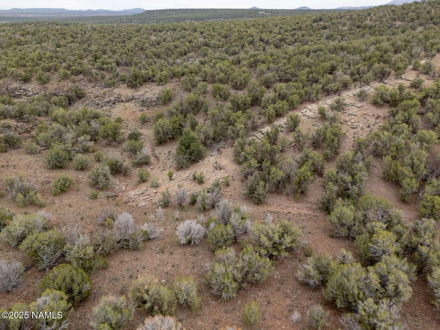 145 Valhalla Williams, AZ 86046 - Photo 20 of 30 Aulakh.19