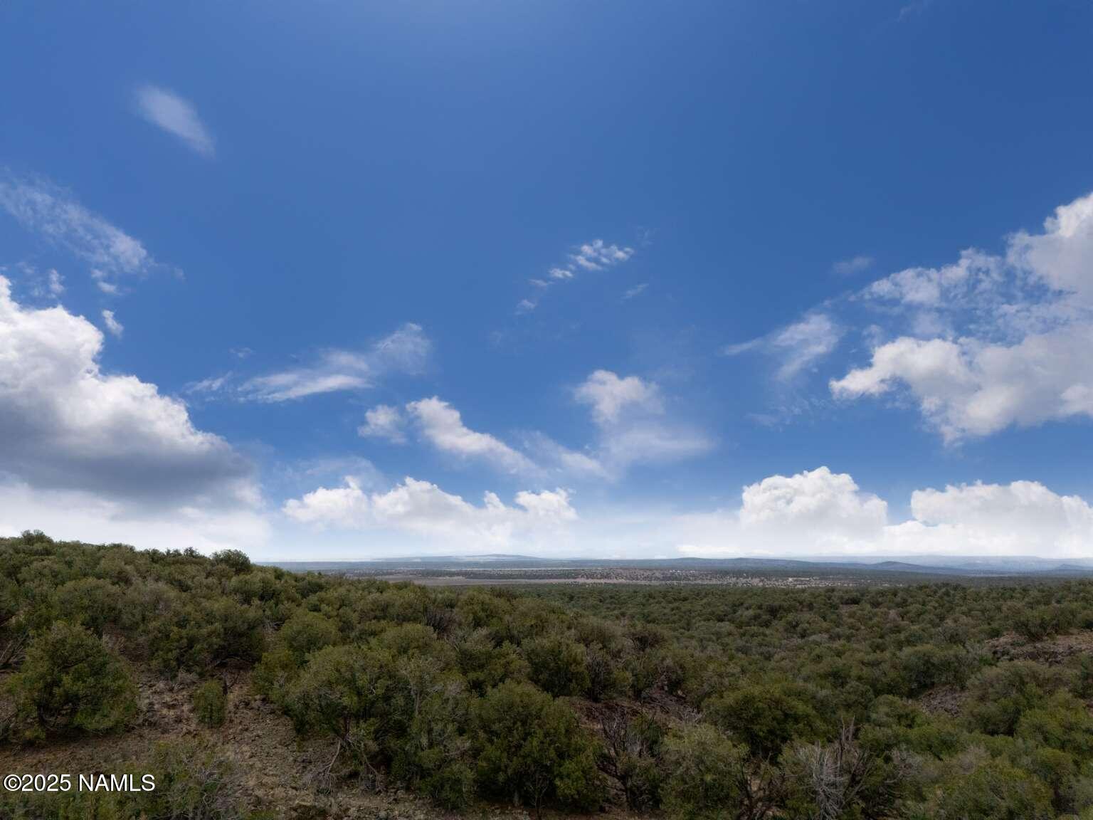 145 Valhalla Williams, AZ 86046 - Photo 23 of 30 Aulakh.22