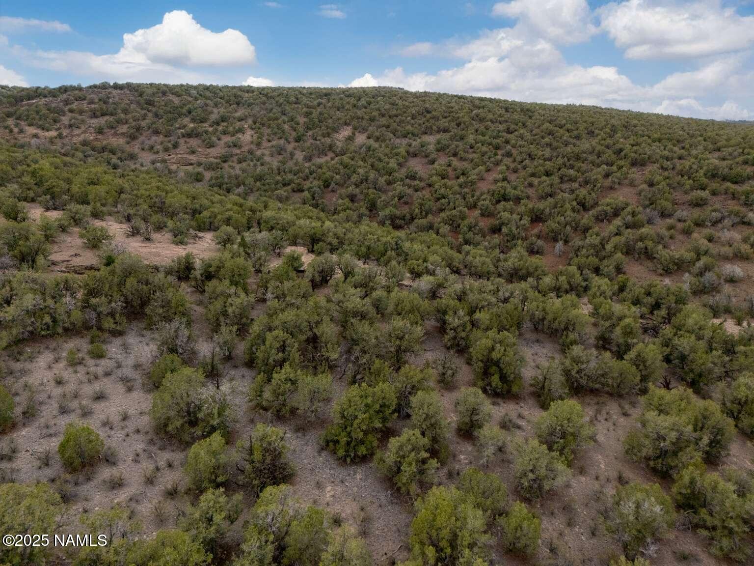145 Valhalla Williams, AZ 86046 - Photo 25 of 30 Aulakh.24