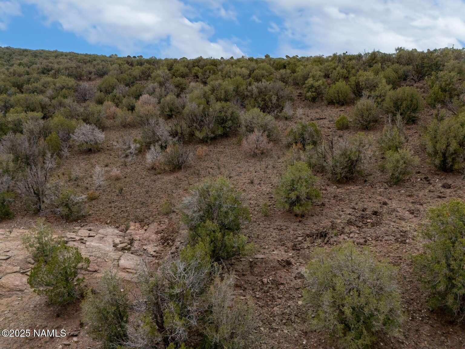 145 Valhalla Williams, AZ 86046 - Photo 26 of 30 Aulakh.25