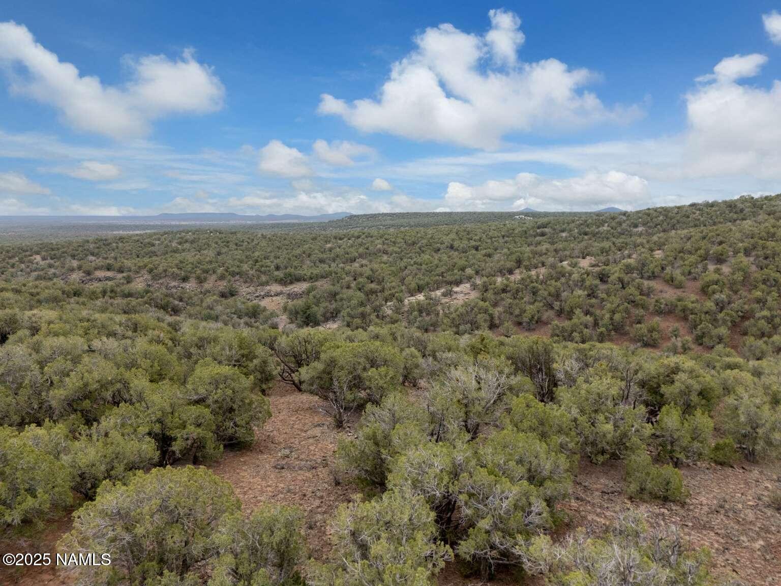 145 Valhalla Williams, AZ 86046 - Photo 27 of 30 Aulakh.26