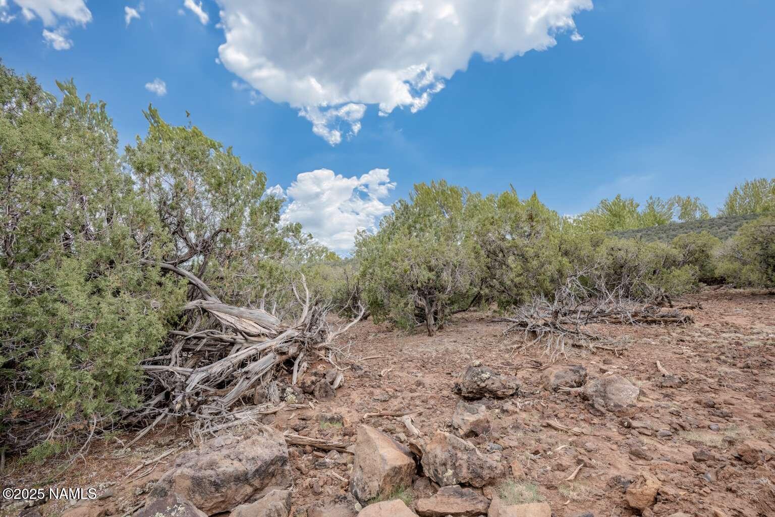 145 Valhalla Williams, AZ 86046 - Photo 29 of 30 Aulakh.28