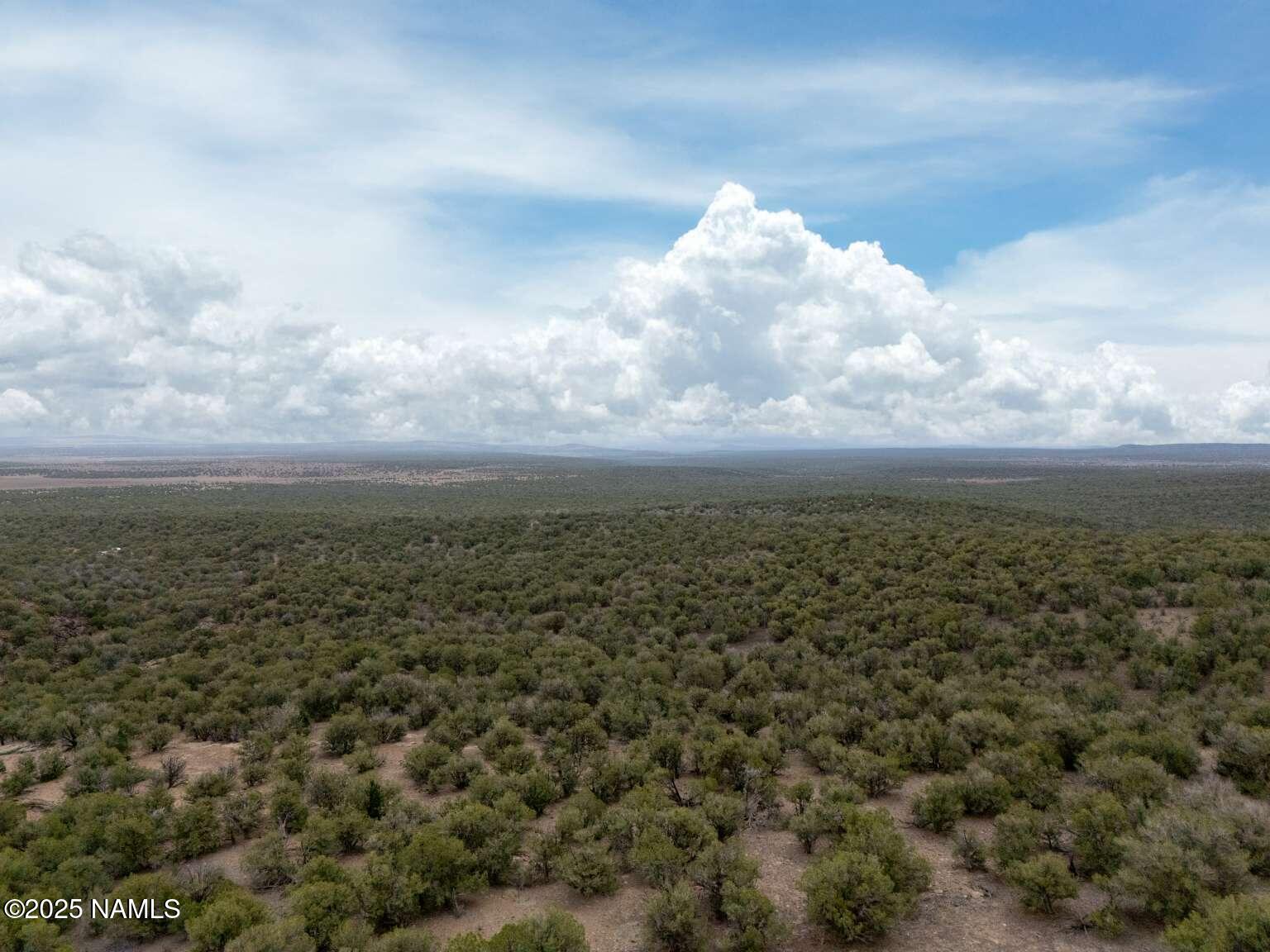 145 Valhalla Williams, AZ 86046 - Photo 5 of 30 Aulakh.4
